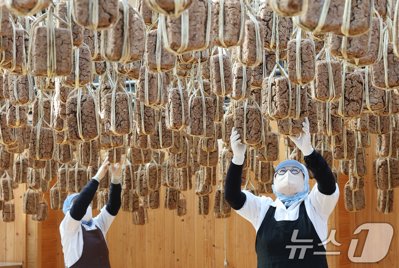 (안성=뉴스1) 김영운 기자 = 13일 경기 안성시 일죽면 서일농원에서 직원들이 메주 건조작업을 하고 있다. 2026.1.13/뉴스1