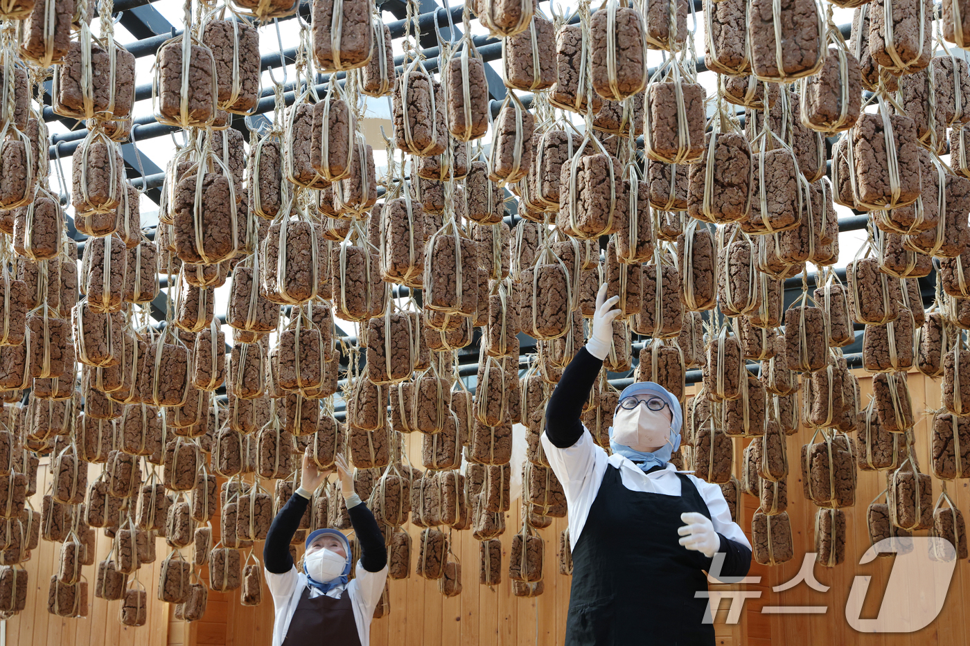 (안성=뉴스1) 김영운 기자 = 13일 경기 안성시 일죽면 서일농원에서 직원들이 메주 건조작업을 하고 있다. 2026.1.13/뉴스1