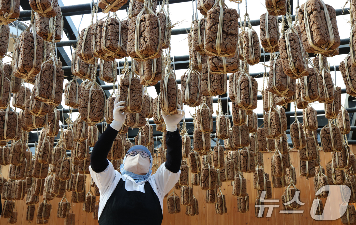 (안성=뉴스1) 김영운 기자 = 13일 경기 안성시 일죽면 서일농원에서 직원들이 메주 건조작업을 하고 있다. 2026.1.13/뉴스1