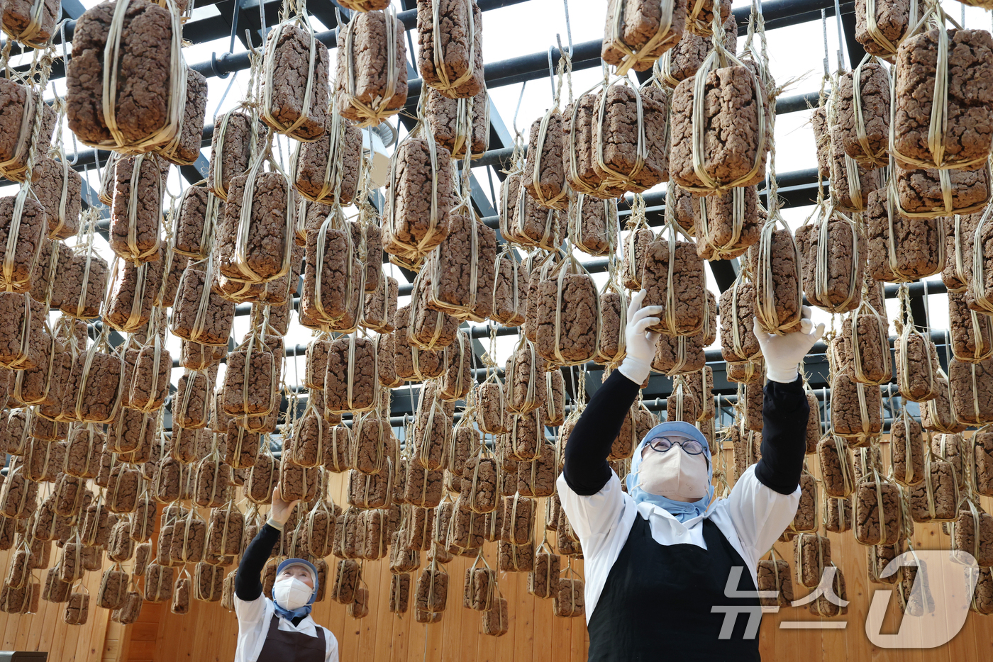 (안성=뉴스1) 김영운 기자 = 13일 경기 안성시 일죽면 서일농원에서 직원들이 메주 건조작업을 하고 있다. 2026.1.13/뉴스1