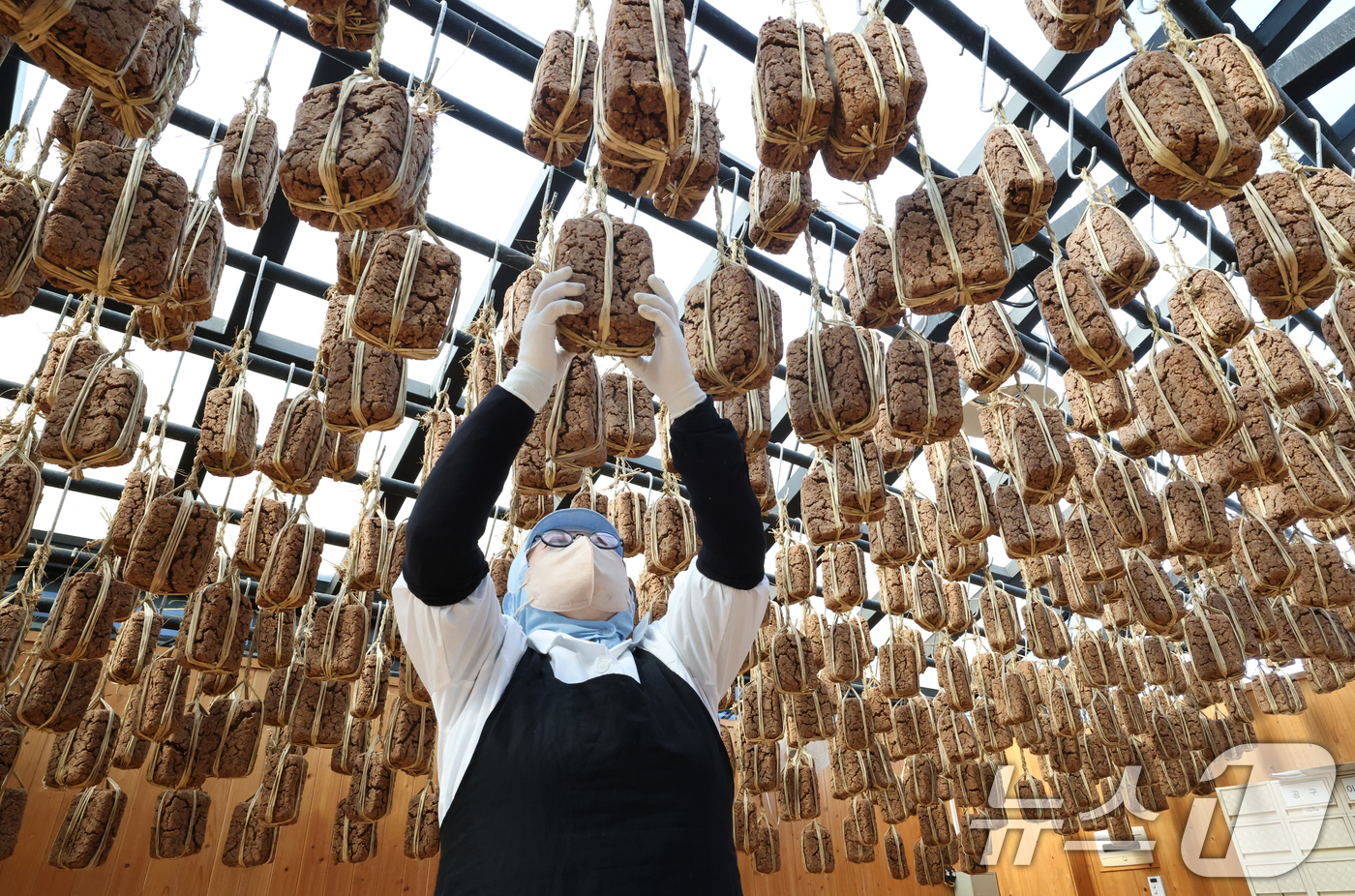 (안성=뉴스1) 김영운 기자 = 13일 경기 안성시 일죽면 서일농원에서 직원들이 메주 건조작업을 하고 있다. 2026.1.13/뉴스1