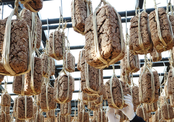 메주 익어가는 계절