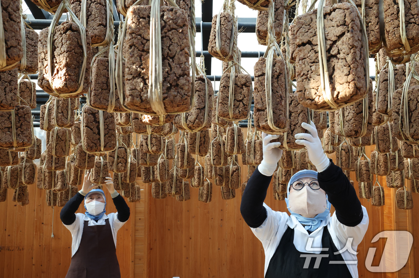 (안성=뉴스1) 김영운 기자 = 13일 경기 안성시 일죽면 서일농원에서 직원들이 메주 건조작업을 하고 있다. 2026.1.13/뉴스1