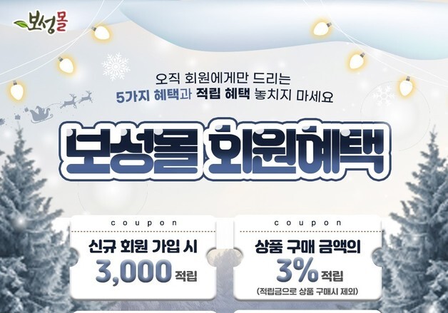 말차가 '보성몰' 매출 주도했다…지난해 22억 돌파