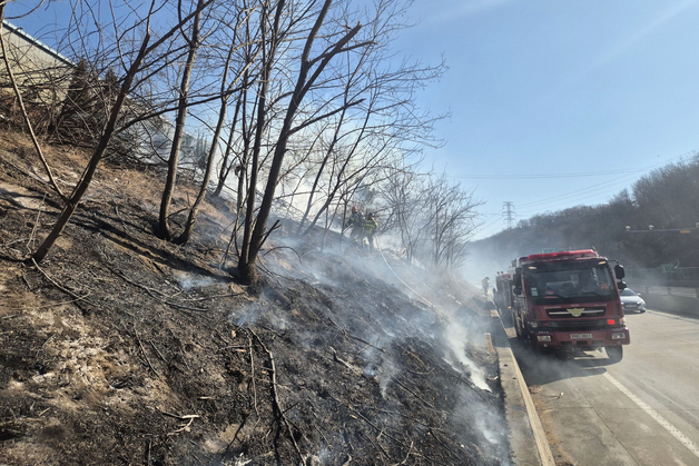 포항 영일만 도로 비탈면서 불…20여분 만에 진화
