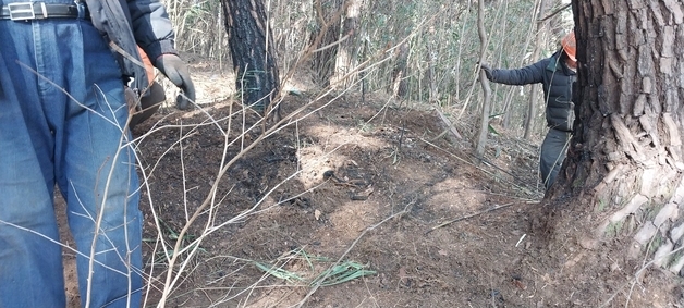 울산 울주군 야산에 산불…9분 만에 진화