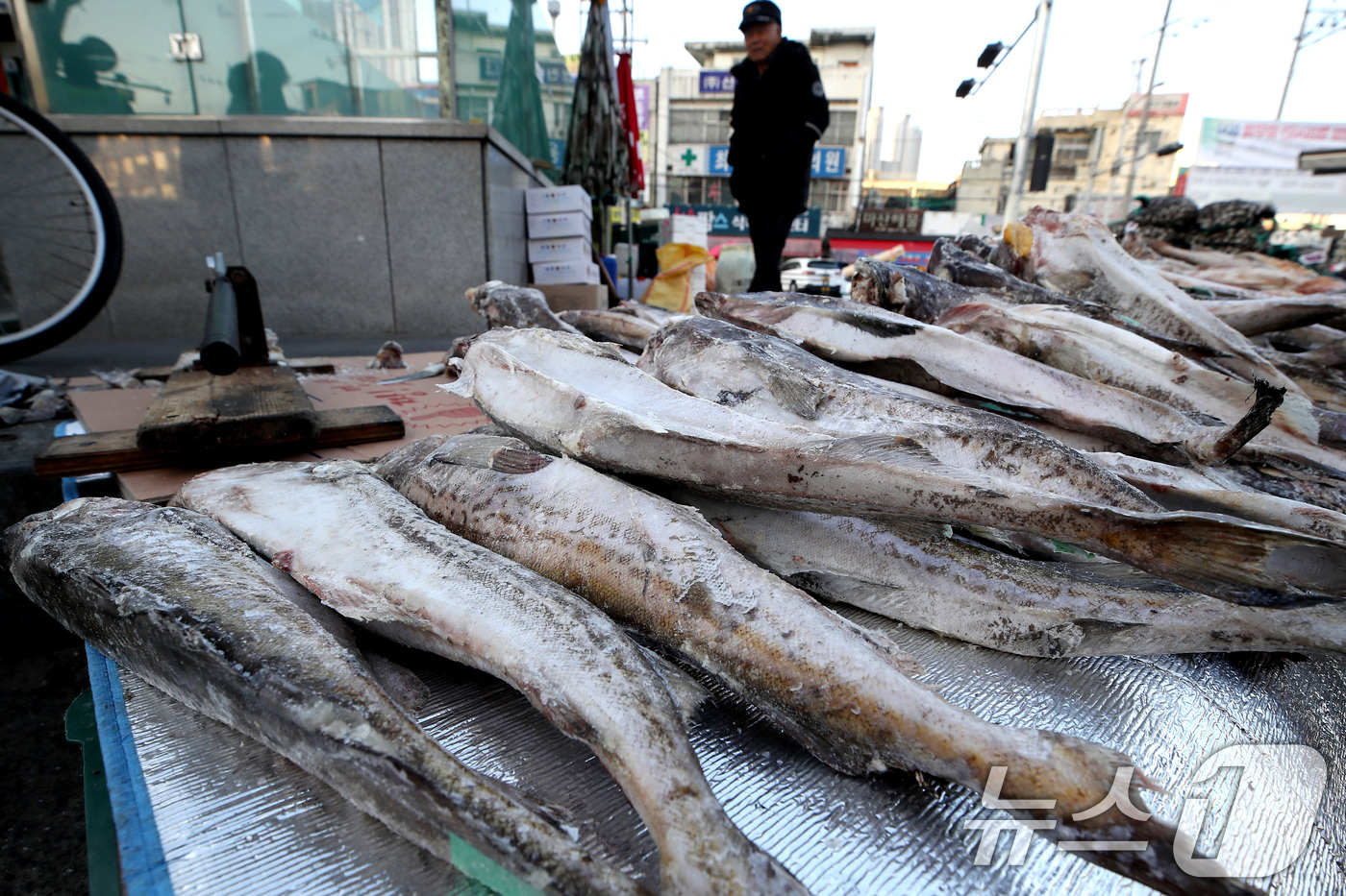 (대구=뉴스1) 공정식 기자 = 매서운 한파가 맹위를 떨친 14일 오전 대구 북구 칠성시장 난전에 나온 동태가 꽁꽁 얼어 있다. 2026.1.14/뉴스1