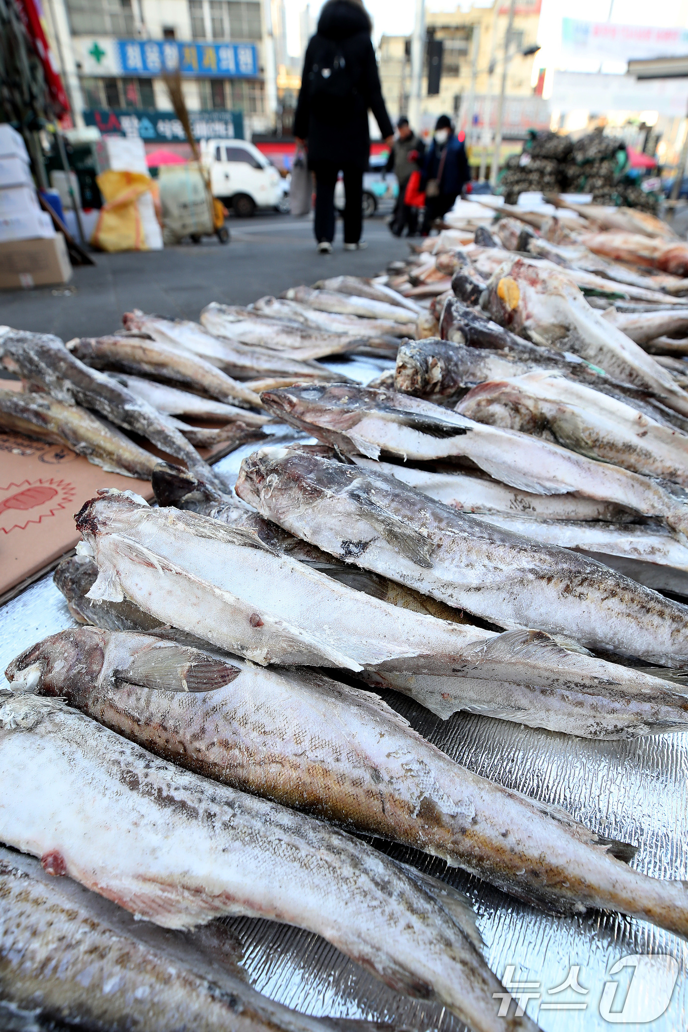 (대구=뉴스1) 공정식 기자 = 매서운 한파가 맹위를 떨친 14일 오전 대구 북구 칠성시장 난전에 나온 동태가 꽁꽁 얼어 있다. 2026.1.14/뉴스1