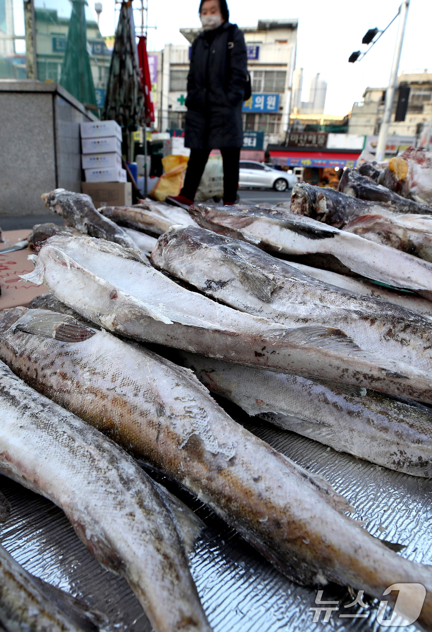 (대구=뉴스1) 공정식 기자 = 매서운 한파가 맹위를 떨친 14일 오전 대구 북구 칠성시장 난전에 나온 동태가 꽁꽁 얼어 있다. 2026.1.14/뉴스1