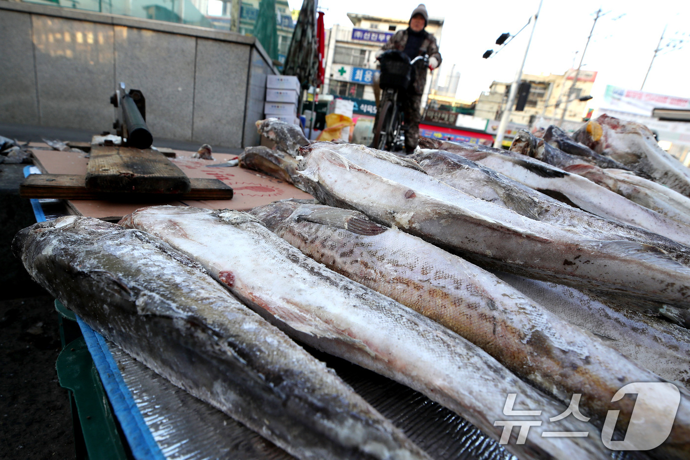 (대구=뉴스1) 공정식 기자 = 매서운 한파가 맹위를 떨친 14일 오전 대구 북구 칠성시장 난전에 나온 동태가 꽁꽁 얼어 있다. 2026.1.14/뉴스1
