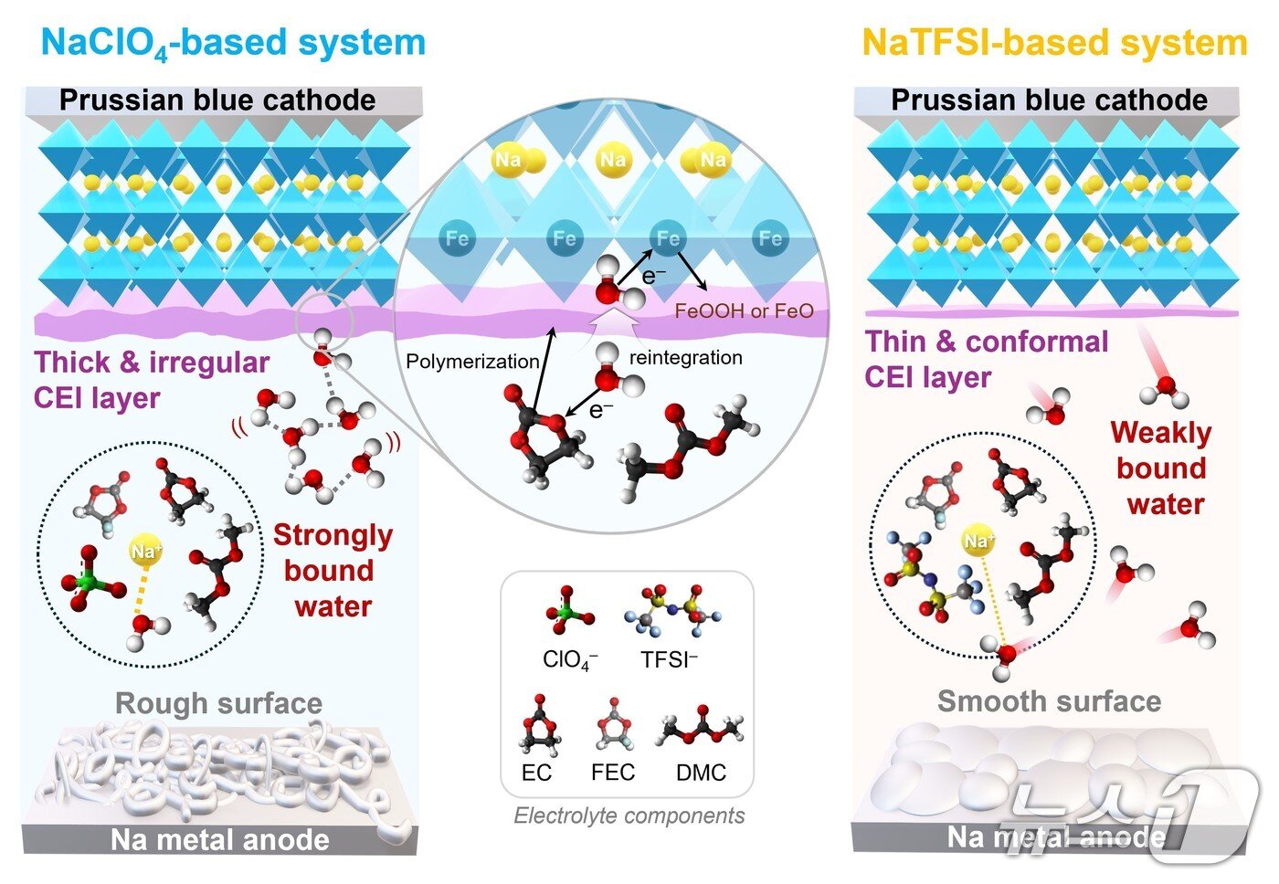 본문 이미지 - 포스텍 배터리공학과 화학공학과 조창신 교수팀과 독일 올리히연구소 연구팀이 연구한 성과 이미지. (포스텍 제공, 재판매 및 DB금지) 2026.114/뉴스1