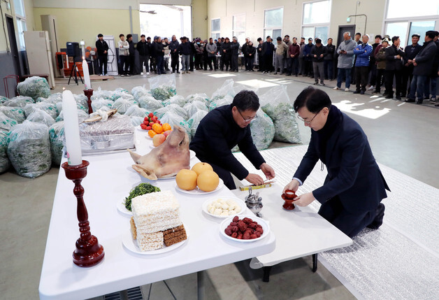 "한겨울 봄 향기"…하동군, 취나물 초매식