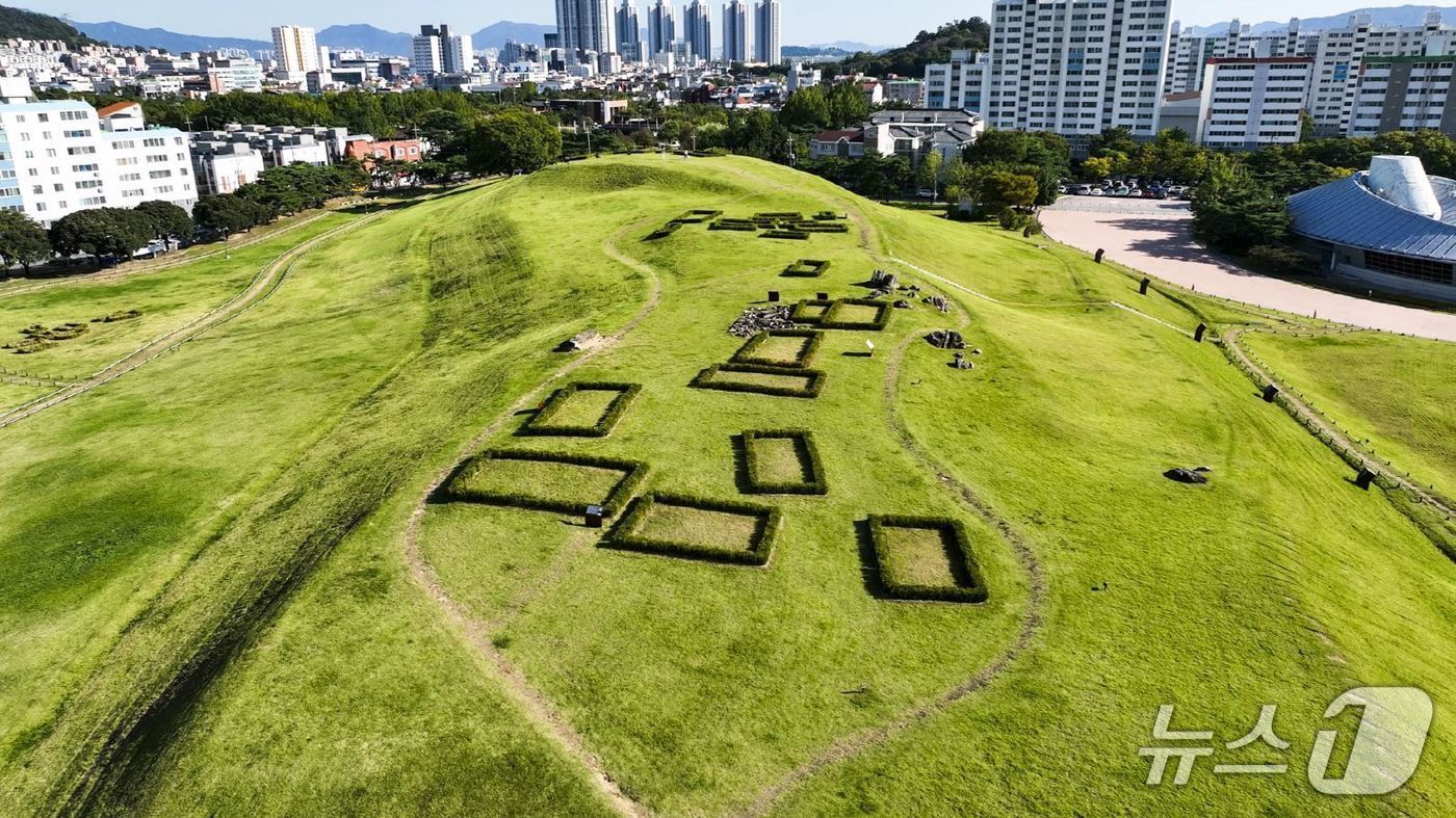 본문 이미지 - 대성동고분군.(김해시 제공. 재판매 및 DB금지)
