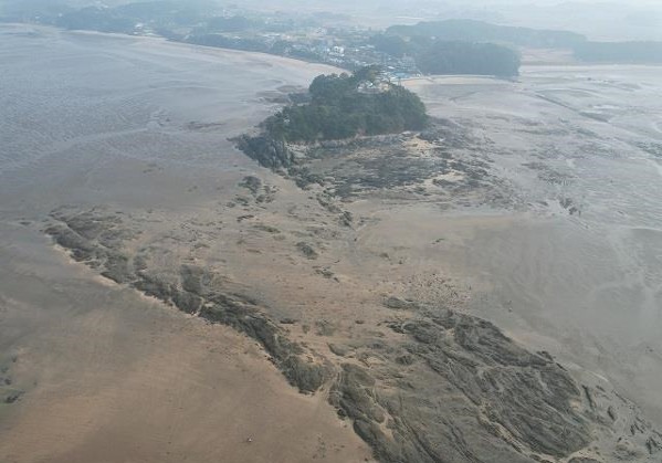 직언도 갯벌, 오는 26일부터 출입통제구역 지정