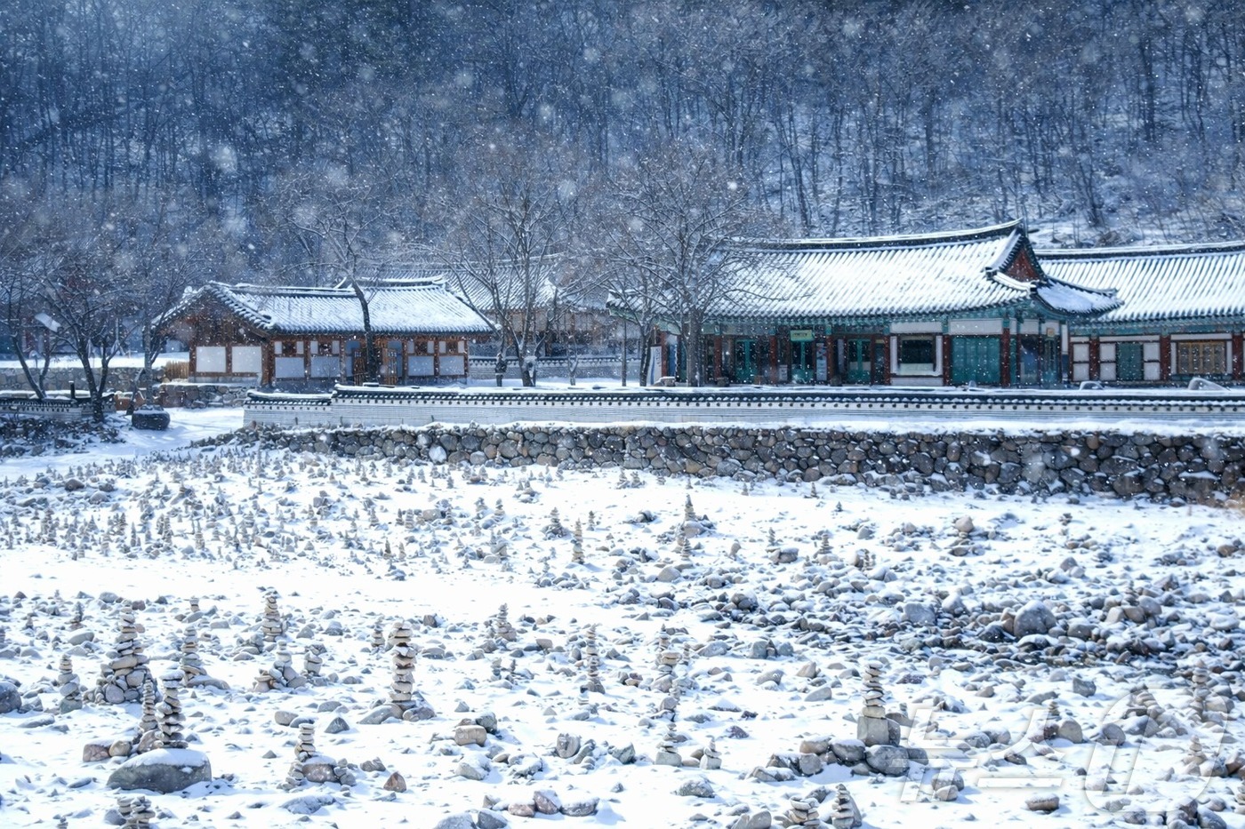 (인제=뉴스1) 이종재 기자 = 지난 13일 강원 인제군 백담사 일원에 불자들이 소망을 빌며 쌓아 올린 돌탑이 눈보라에도 끄떡없이 견고함을 유지하고 있다.(인제군 제공. 재판매 및 …