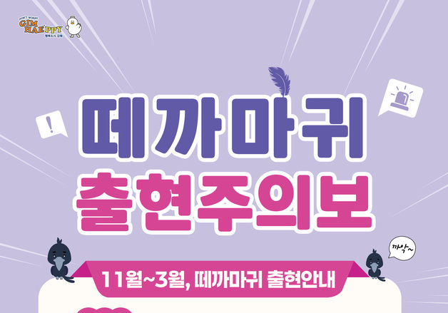 올겨울도 김해 도심에 떼까마귀…배설물 피해에 시 대책 가동