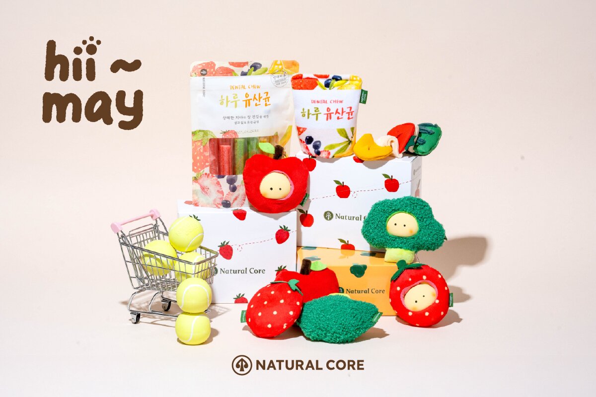 본문 이미지 - 네츄럴코어가 새롭게 출시한 장난감 '하이메이(Hi-MAY) 시리즈(업체 제공)