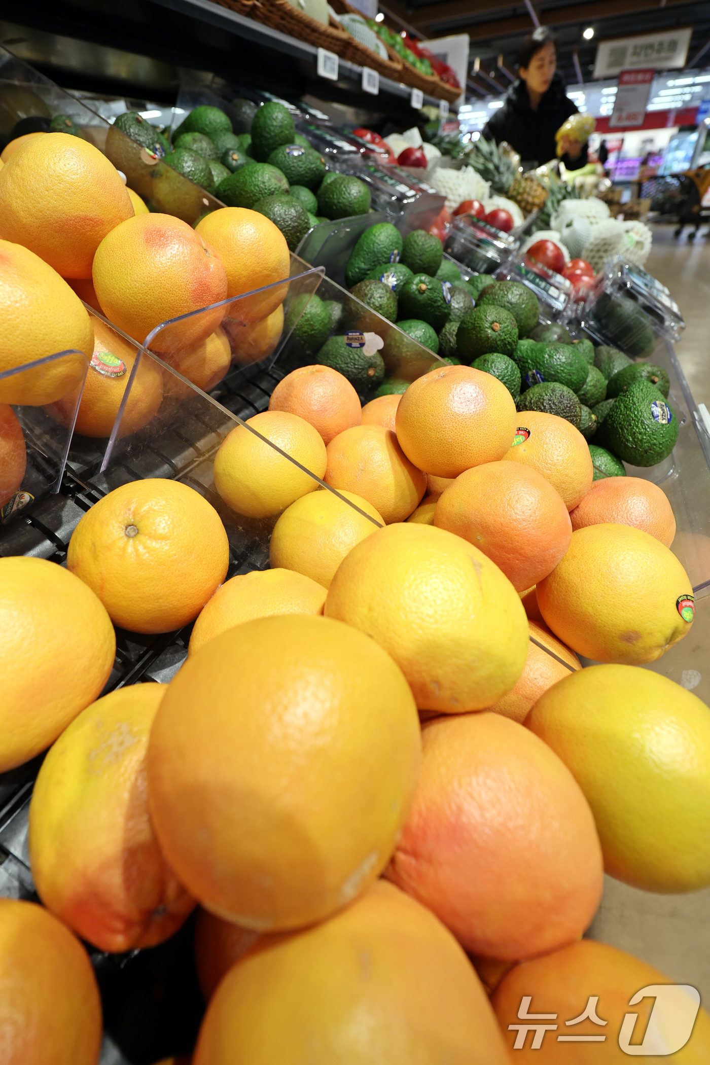 (서울=뉴스1) 황기선 기자 = 14일 서울시내 한 대형마트에 수입 과일이 진열돼 있다.이날 한국은행이 발표한 '2025년 12월 수출입물가지수 및 무역지수(잠정)'에 따르면, 지 …