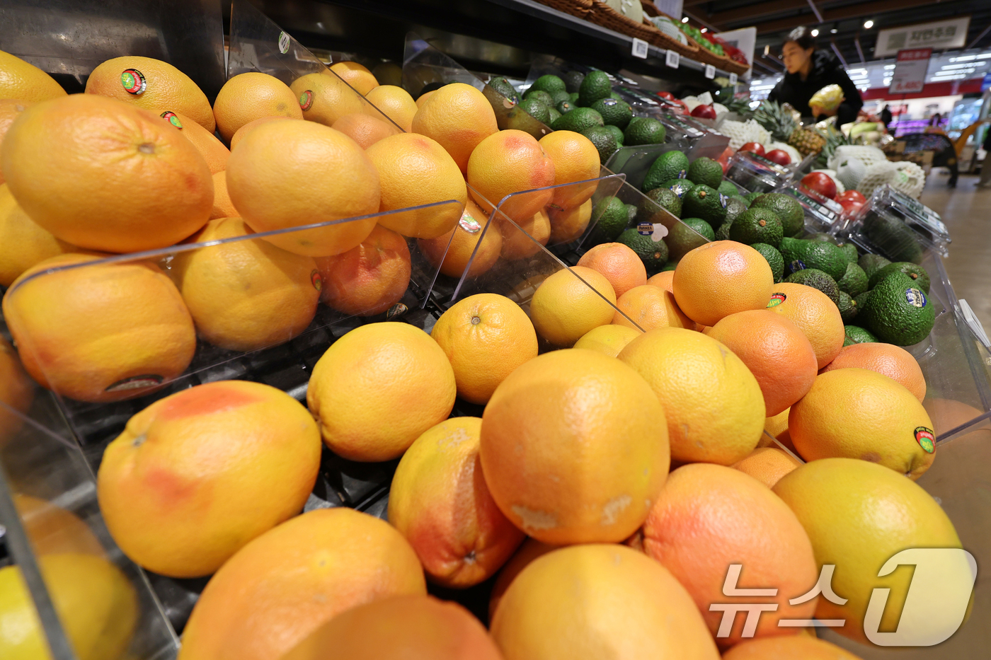 (서울=뉴스1) 황기선 기자 = 14일 서울시내 한 대형마트에 수입 과일이 진열돼 있다. 이날 한국은행이 발표한 '2025년 12월 수출입물가지수 및 무역지수(잠정)'에 따르면, …