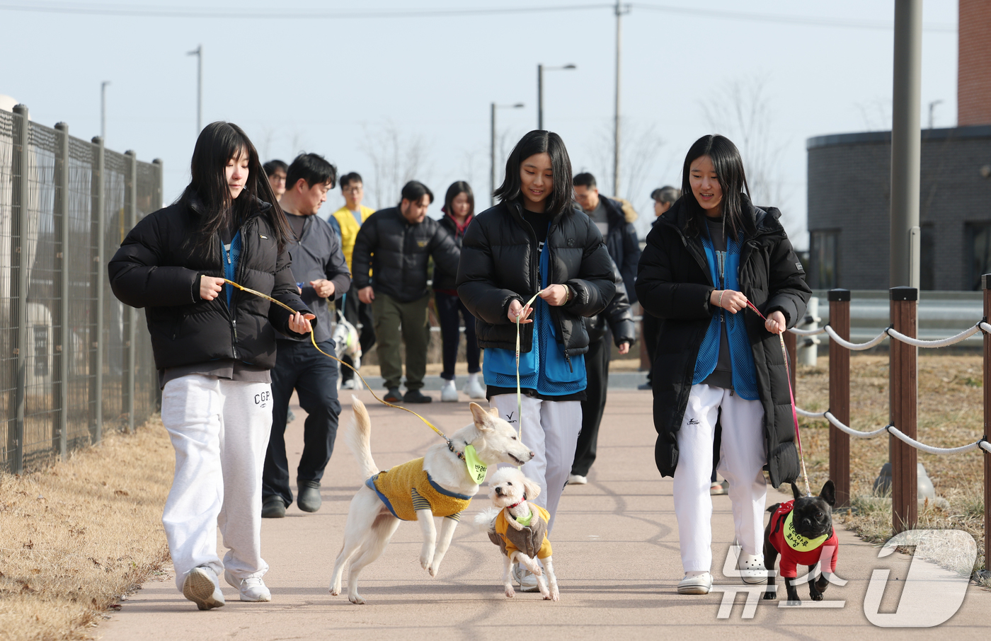 (화성=뉴스1) 김영운 기자 = 14일 경기 화성시 마도면 반려마루 화성에서 청소년 자원봉사자들이 방학을 맞아 보호동물과 교감활동을 하고 있다.반려마루 화성은 연간 6000여명이 …