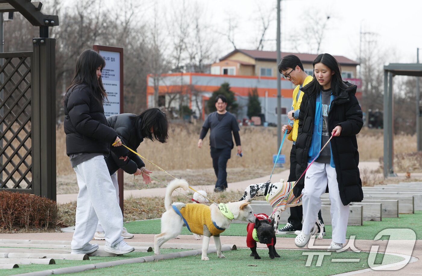 본문 이미지 - 14일 경기 화성시 마도면 반려마루 화성에서 청소년 자원봉사자들이 방학을 맞아 보호동물과 교감활동을 하고 있다. 2026.1.14/뉴스1 ⓒ News1 김영운 기자