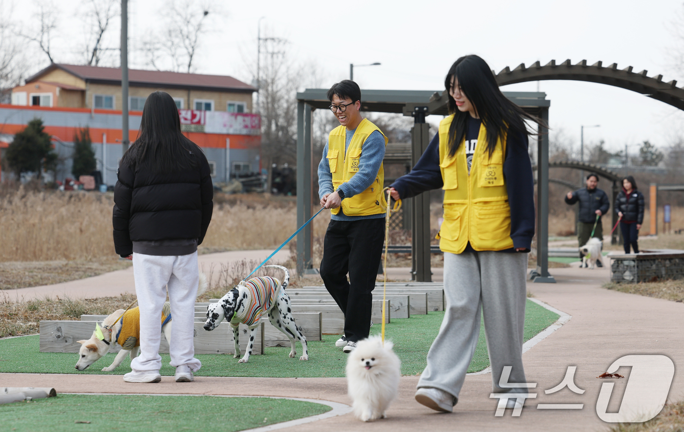 (화성=뉴스1) 김영운 기자 = 14일 경기 화성시 마도면 반려마루 화성에서 청소년 자원봉사자들이 방학을 맞아 보호동물과 교감활동을 하고 있다.반려마루 화성은 연간 6000여명이 …