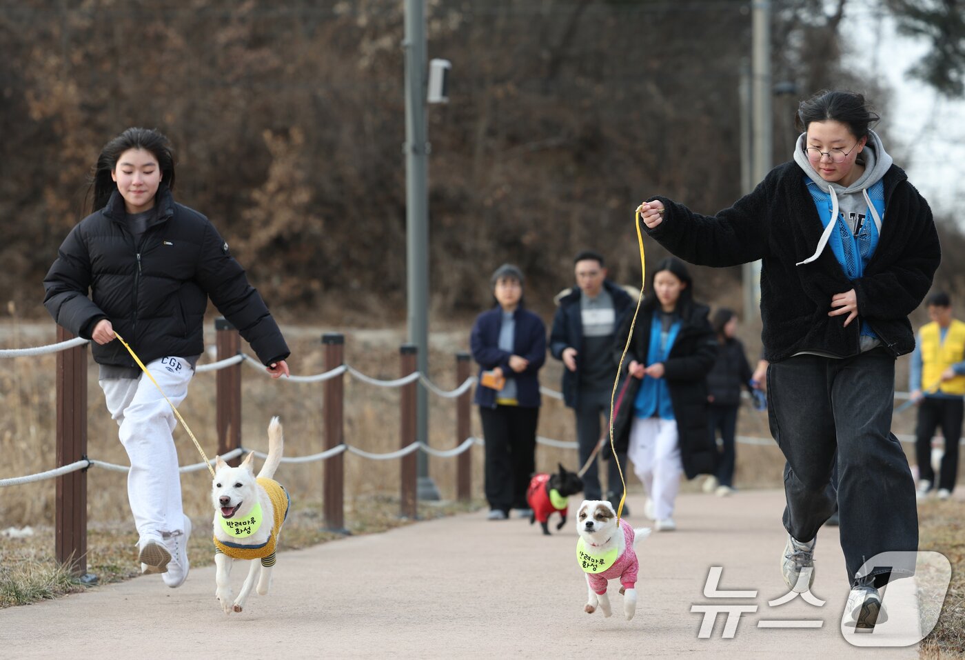 본문 이미지 - 14일 경기 화성시 마도면 반려마루 화성에서 청소년 자원봉사자들이 방학을 맞아 보호동물과 교감활동을 하고 있다.  2026.1.14/뉴스1 ⓒ News1 김영운 기자