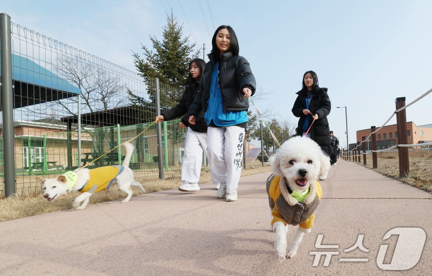 (화성=뉴스1) 김영운 기자 = 14일 경기 화성시 마도면 반려마루 화성에서 청소년 자원봉사자들이 방학을 맞아 보호동물과 교감활동을 하고 있다.반려마루 화성은 연간 6000여명이 …