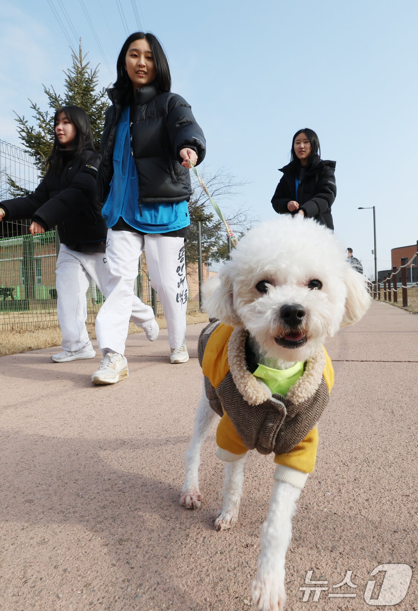 본문 이미지 - 14일 경기 화성시 마도면 반려마루 화성에서 청소년 자원봉사자들이 방학을 맞아 보호동물과 교감활동을 하고 있다.  2026.1.14/뉴스1 ⓒ News1 김영운 기자