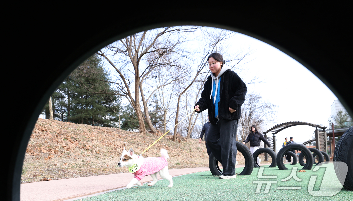 (화성=뉴스1) 김영운 기자 = 14일 경기 화성시 마도면 반려마루 화성에서 청소년 자원봉사자들이 방학을 맞아 보호동물과 교감활동을 하고 있다.반려마루 화성은 연간 6000여명이 …