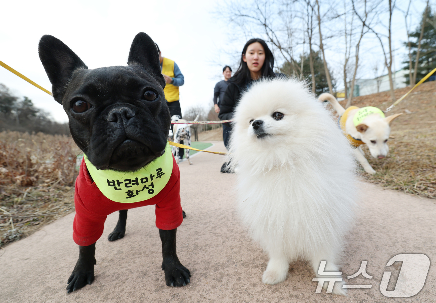 (화성=뉴스1) 김영운 기자 = 14일 경기 화성시 마도면 반려마루 화성에서 청소년 자원봉사자들이 방학을 맞아 보호동물과 교감활동을 하고 있다.반려마루 화성은 연간 6000여명이 …