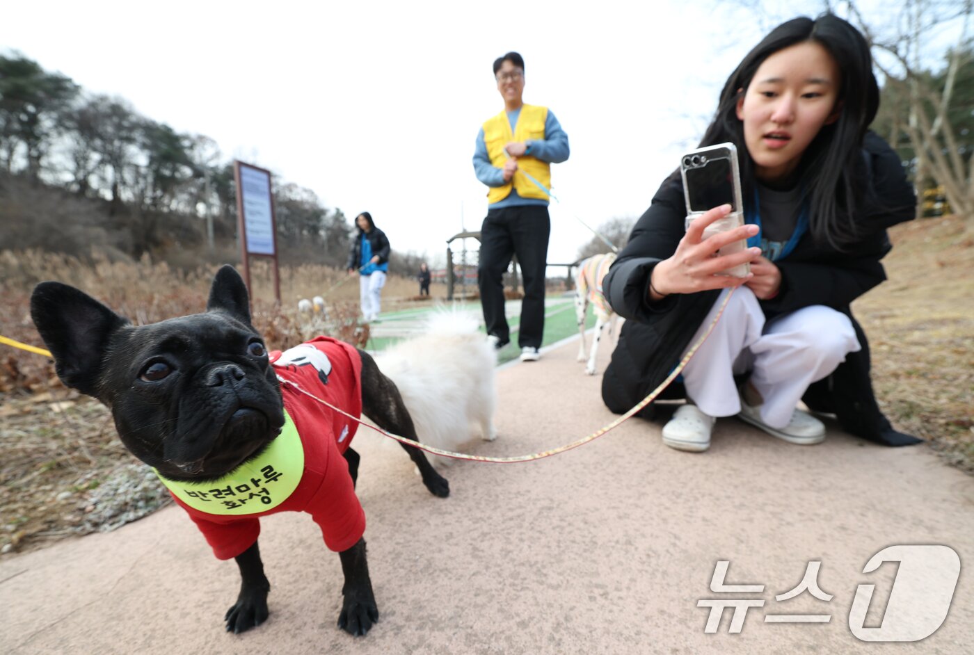 본문 이미지 - 14일 경기 화성시 마도면 반려마루 화성에서 청소년 자원봉사자들이 방학을 맞아 보호동물과 교감활동을 하고 있다. 2026.1.14/뉴스1 ⓒ News1 김영운 기자