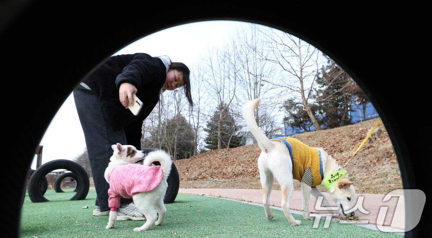 (화성=뉴스1) 김영운 기자 = 14일 경기 화성시 마도면 반려마루 화성에서 청소년 자원봉사자들이 방학을 맞아 보호동물과 교감활동을 하고 있다.반려마루 화성은 연간 6000여명이 …