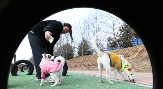 반려동물과 교감하며 배우는 교육