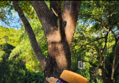 63세 윤영미, 속옷 없이 등 훤히 트인 과감 패션…"서비스" [N샷]