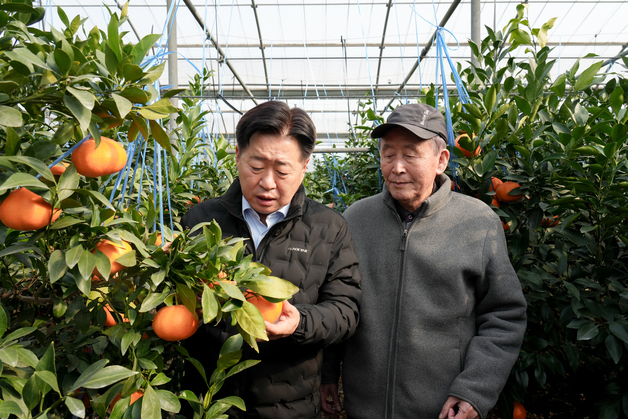 "미국산 만다린 공포 마케팅에 흔들리면 안 돼…고품질로 승부"