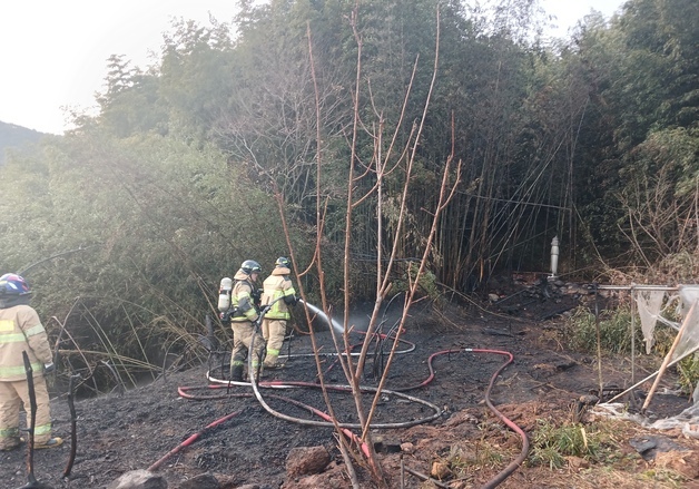 장흥 대나무 밭 화재…54분 만에 진화