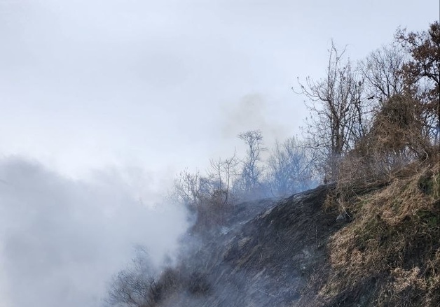 수도권제1순환고속도로 판교JC 부근서 차량 화재…3명 대피