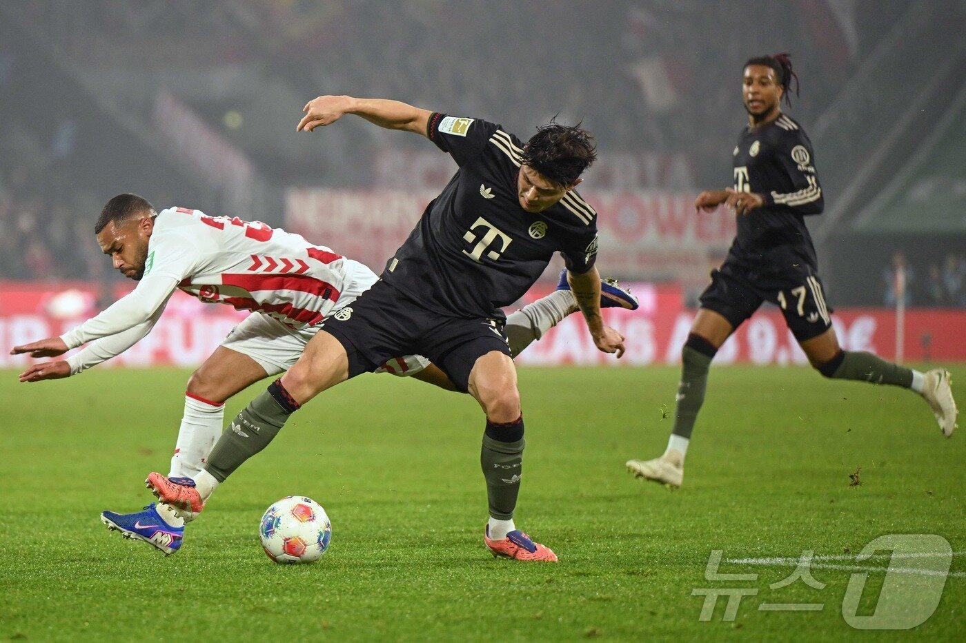 본문 이미지 - 바이에른 뮌헨 수비수 김민재가 15일(한국시간) 독일 쾰른의 라인 에네르기 슈타디온에서 열린 FC쾰른과 원정 경기에서 린턴 마이나를 수비하고 있다.  ⓒ AFP=뉴스1