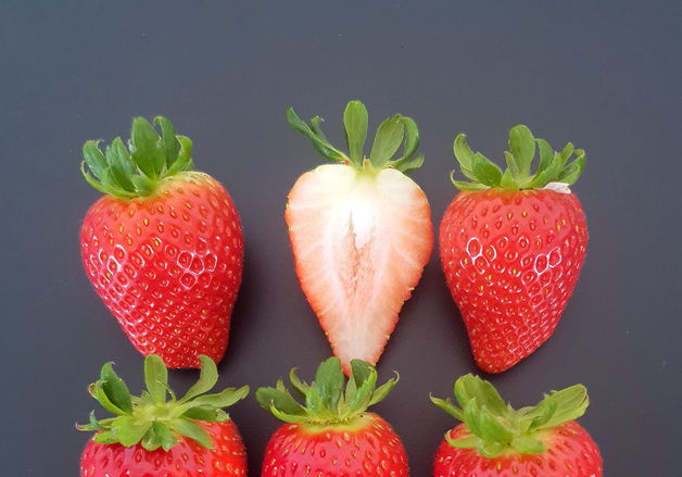 충남농기원, 신품종 딸기 '미향' 품종보호출원