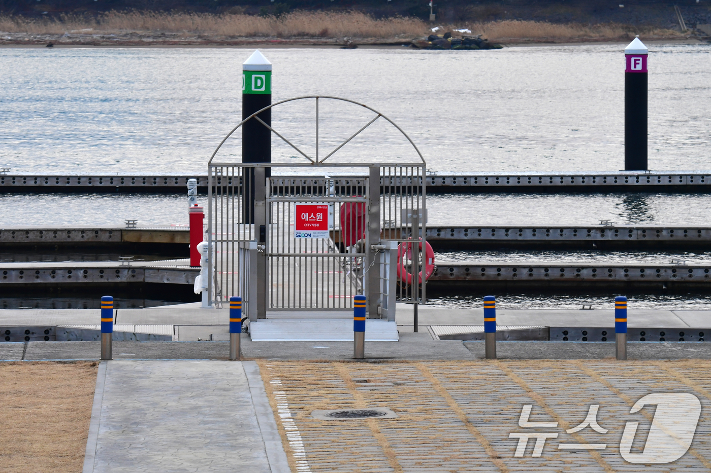 (포항=뉴스1) 최창호 기자 = 15일 경북 포항시 남구 형산강 마리나 계류장이 준공된 지 2년이 지났지만, 단 척의 요트도 정박하지 못한 채 방치되고 있다.포항시의회는 정책 결정 …