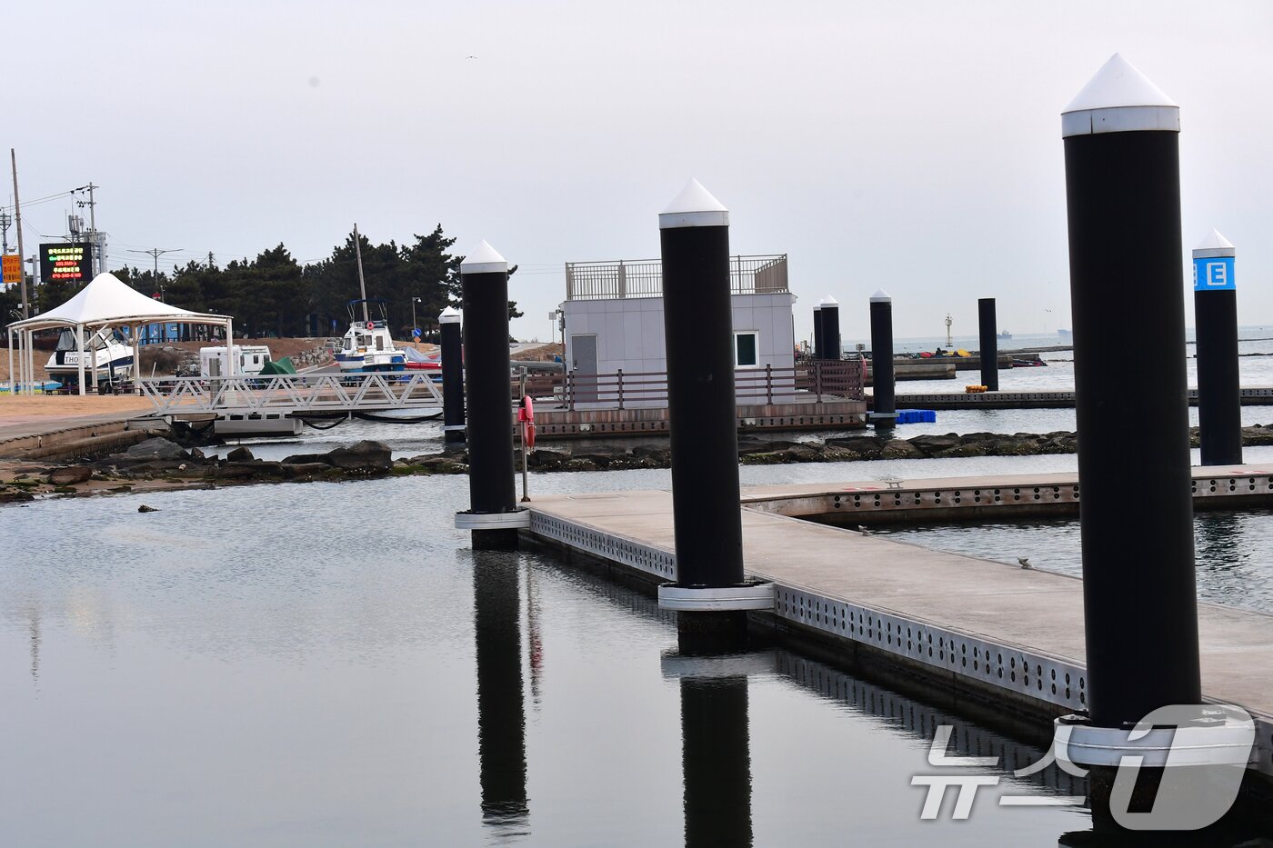 본문 이미지 - 준공된지 2년째인 경북 포항시 남구 형산강 마리나계류장이 방치돼 있다. 포항시의회는 정책 결정 등을 문제 삼아 지난 7월 감사원에 공익감사를 청구했다. ⓒ News1 최창호 기자