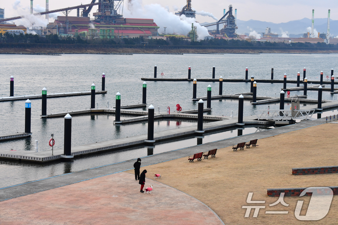 (포항=뉴스1) 최창호 기자 = 15일 경북 포항시 남구 형산강 마리나 계류장이 준공된 지 2년이 지났지만, 단 척의 요트도 정박하지 못한 채 방치되고 있다.포항시의회는 정책 결정 …