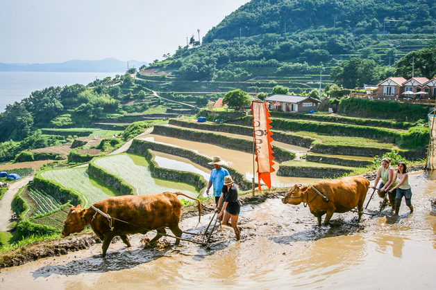 남해군 '무형유산 보존·전승 기록화 사업' 이달 완료