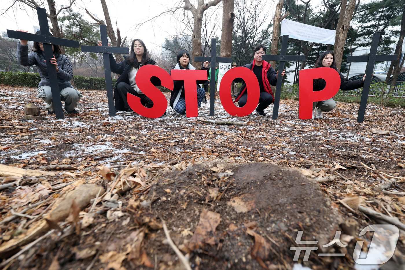 (서울=뉴스1) 황기선 기자 = 환경보건시민센터 회원들이 15일 오전 서울 종로구 경희궁에서 서울시의 경희궁 벌목 규탄 및 추가 벌목 중단을 촉구하는 퍼포먼스를 하고 있다. 202 …
