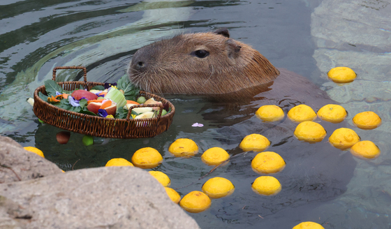 조식 먹으며 즐기는 온천욕