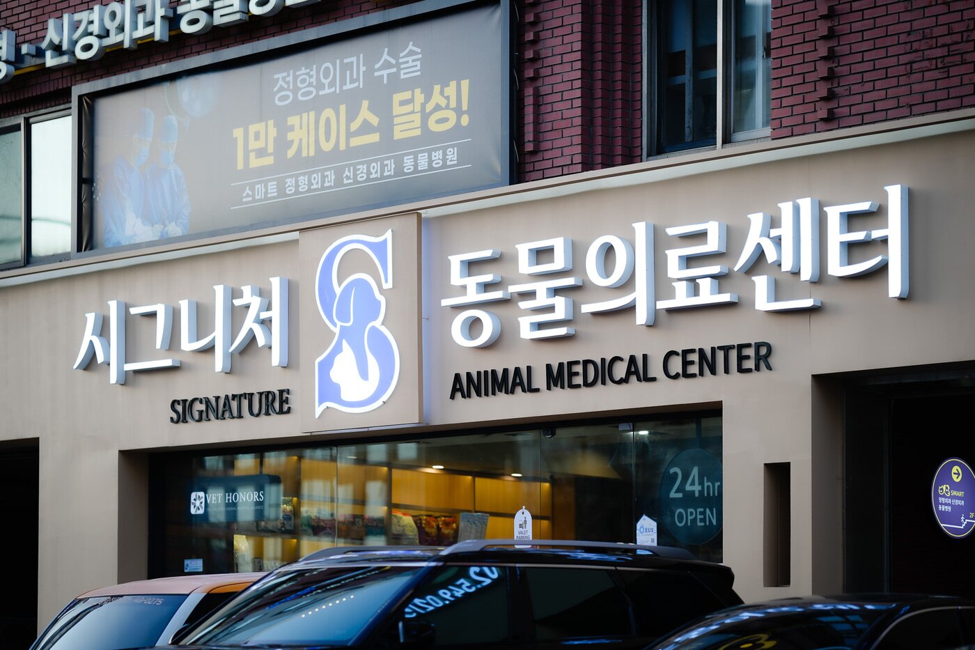 본문 이미지 - 스마트동물병원 신사본원은 시그니처동물의료센터라는 이름으로 새 출발을 알렸다(벳아너스 제공). ⓒ 뉴스1
