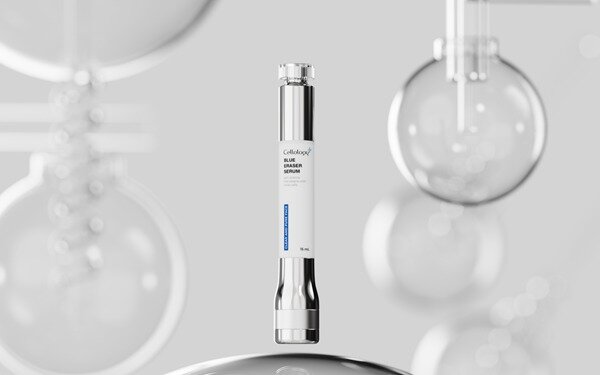 본문 이미지 - 사진=올릿 제공