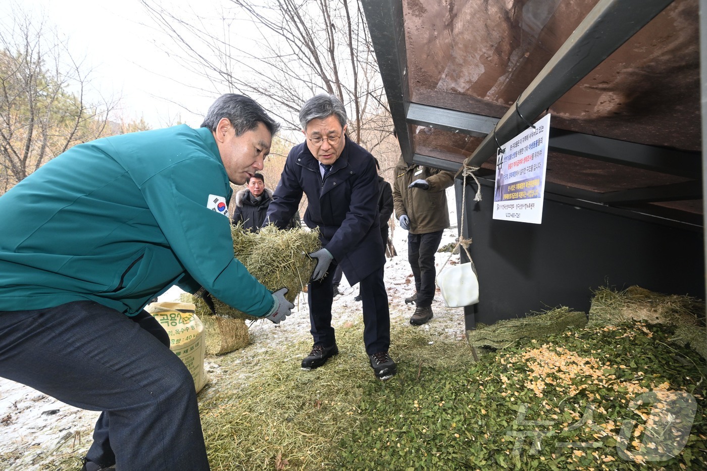 (서울=뉴스1) = 허민 국가유산청장(오른쪽)이 15일 오후 강원 양구군 천미리 일원에서 개최된 겨울철 산양 먹이주기 행사에서 서흥원 양구군수(왼쪽)와 먹이급이대에 건초(알파파)를 …
