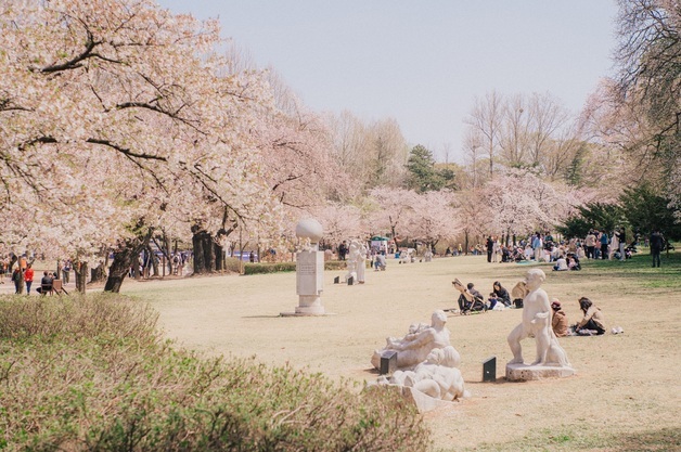 '전참시' '태풍상사' K-콘텐츠 명소 된 서울어린이대공원·청계천